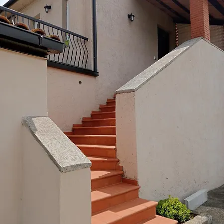 L'oliveto Marta